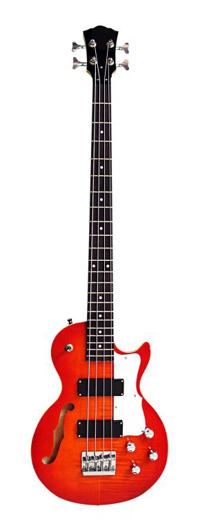 LP Tarzı Bas Gitar