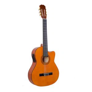EQ ile 39 İnç Klasik Gitar Kesit