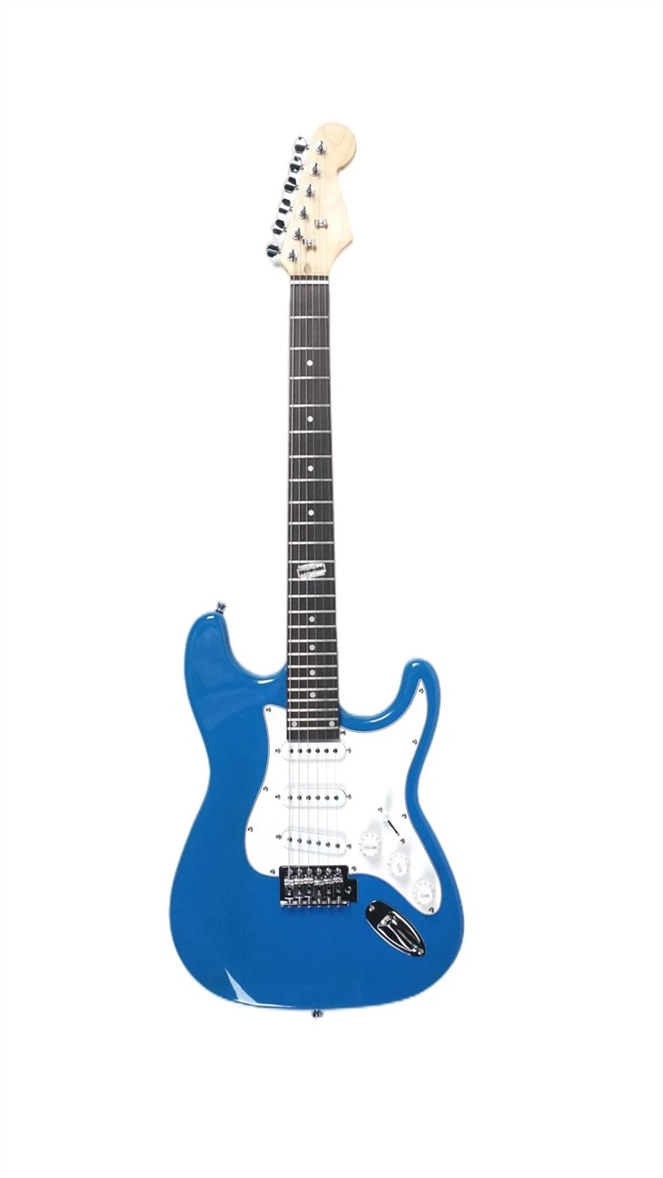 The Best Electric Guitar